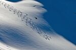 Ski-Safari USA: Tiefschnee in Whistler