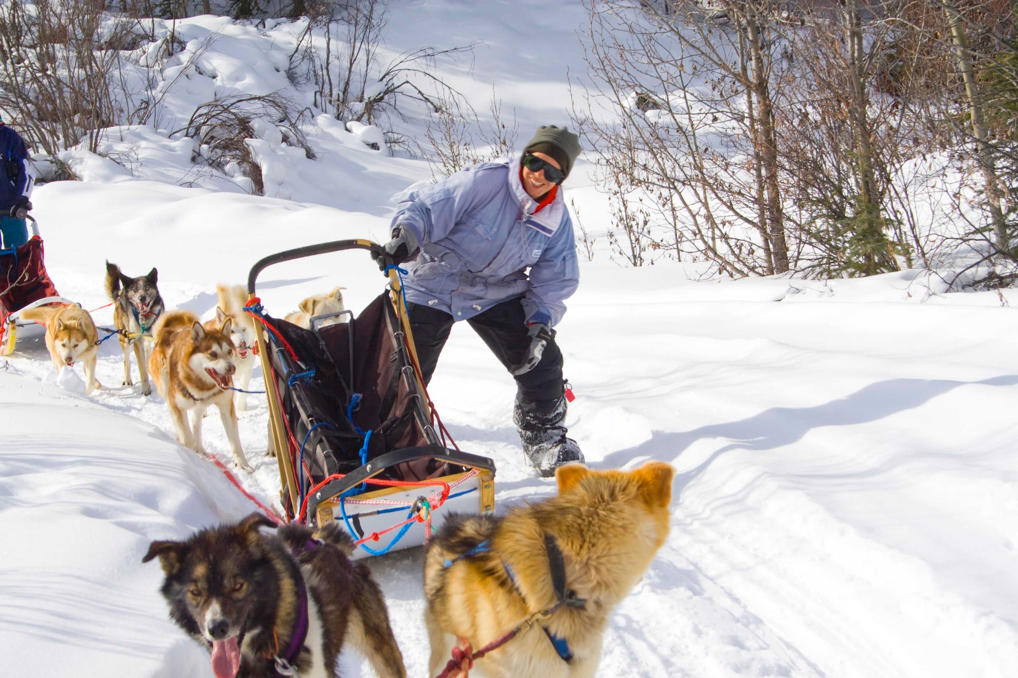 Hundeschlittentour im Yukon