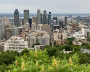 allgemein/diverses/canusa-insidertipps/kanada/dortje-bogensee/montreal-skyline-insidertipp.cr2012x880-0x458 allgemein/diverses/canusa-insidertipps/kanada/dortje-bogensee/montreal-skyline-insidertipp.cr2012x880-0x458