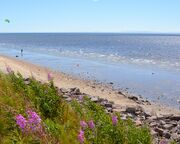 allgemein/diverses/canusa-insidertipps/kanada/karin-claudia-quebec/point-aux-outardes-nautre-park-beach.cr3000x1315-0x492 allgemein/diverses/canusa-insidertipps/kanada/karin-claudia-quebec/point-aux-outardes-nautre-park-beach.cr3000x1315-0x492