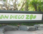 allgemein/diverses/canusa-insidertipps/usa/ann-christin-san-diego-zoo.cr1600x700-0x220 allgemein/diverses/canusa-insidertipps/usa/ann-christin-san-diego-zoo.cr1600x700-0x220