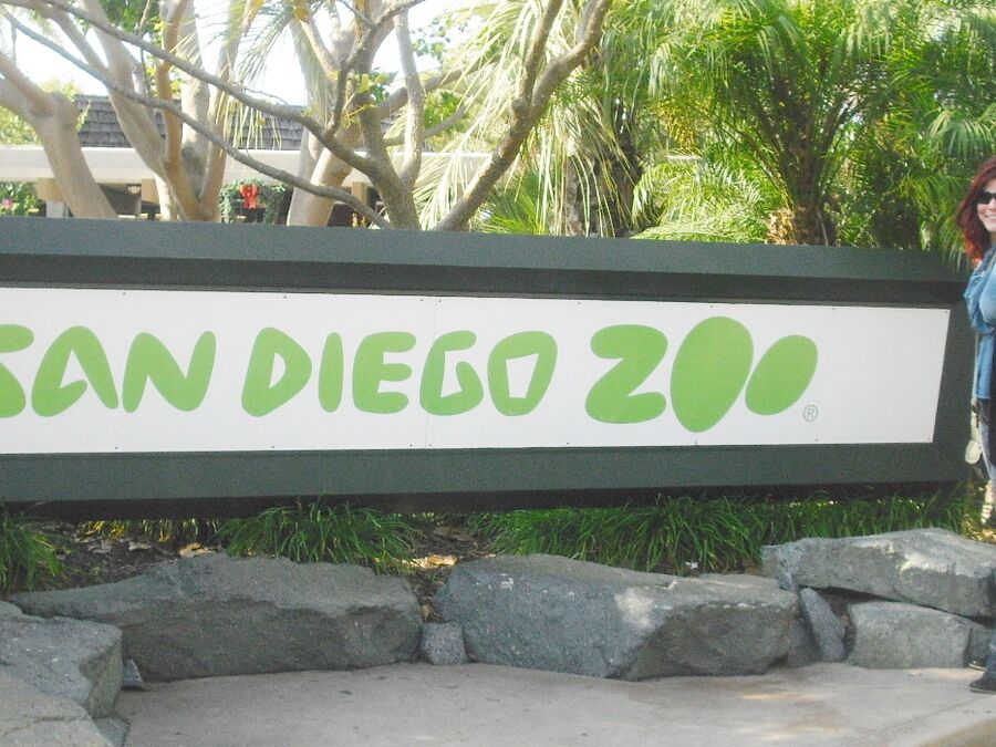 San Dieso Zoo