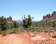 allgemein/diverses/canusa-insidertipps/usa/antonia-rosenkranz/landscape-red-rocks-country-sedona-hike.cr5184x3456-0x0 allgemein/diverses/canusa-insidertipps/usa/antonia-rosenkranz/landscape-red-rocks-country-sedona-hike.cr5184x3456-0x0