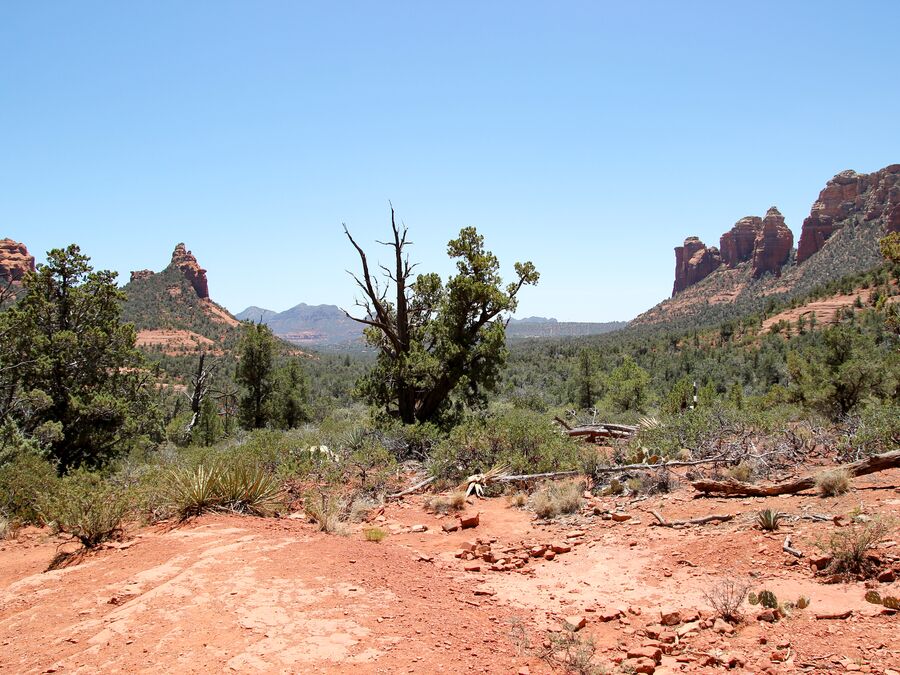 Eine Landschaftsaufnahme vom Soldier Pass Trail nahe Sedona