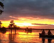 allgemein/diverses/canusa-insidertipps/usa/bianca-schabel/insidertipp-bianca-schabel-lake-martin.cr1600x700-0x201 allgemein/diverses/canusa-insidertipps/usa/bianca-schabel/insidertipp-bianca-schabel-lake-martin.cr1600x700-0x201