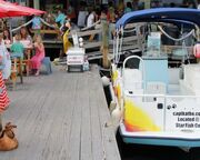 allgemein/diverses/canusa-insidertipps/usa/florida-cortez-star-fish-company-captain-kathe.cr5184x2272-0x913 allgemein/diverses/canusa-insidertipps/usa/florida-cortez-star-fish-company-captain-kathe.cr5184x2272-0x913