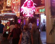 allgemein/diverses/canusa-insidertipps/usa/fremont-street-vegas.cr1936x846-0x1745 allgemein/diverses/canusa-insidertipps/usa/fremont-street-vegas.cr1936x846-0x1745