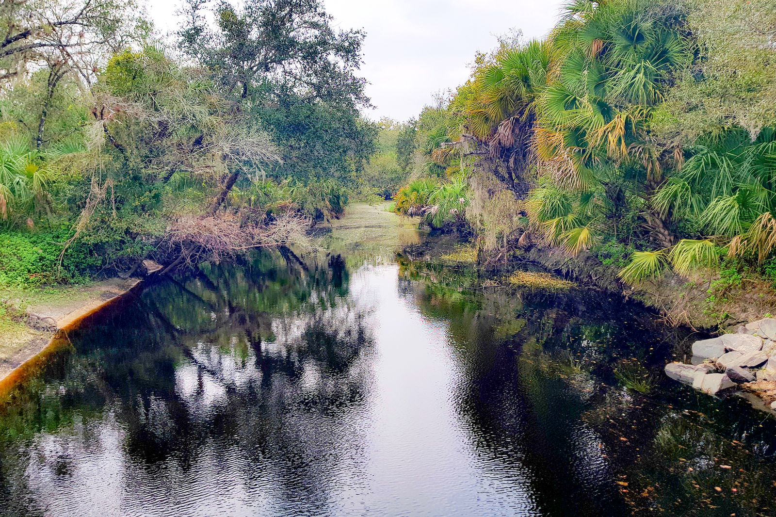 Der Myakka River State Park in Florida