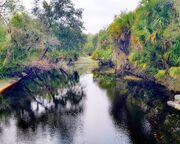 allgemein/diverses/canusa-insidertipps/usa/hans-c-florida/myakka-river-state-park-2.cr3000x1998-0x0 allgemein/diverses/canusa-insidertipps/usa/hans-c-florida/myakka-river-state-park-2.cr3000x1998-0x0