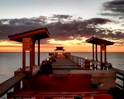 allgemein/diverses/canusa-insidertipps/usa/hans-c-florida/naples-pier.cr2317x1013-0x490 allgemein/diverses/canusa-insidertipps/usa/hans-c-florida/naples-pier.cr2317x1013-0x490