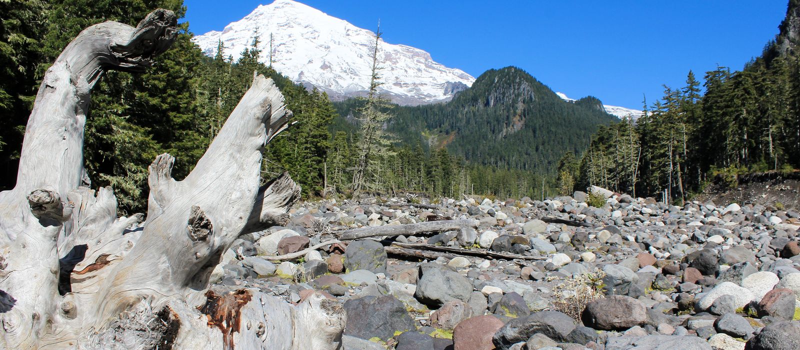 Blick auf Mount Rainier