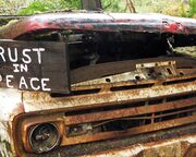 allgemein/diverses/canusa-insidertipps/usa/jessica-haase/rotten-car-quinault-rain-forrest.cr2667x1168-0x458 allgemein/diverses/canusa-insidertipps/usa/jessica-haase/rotten-car-quinault-rain-forrest.cr2667x1168-0x458