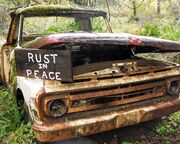 allgemein/diverses/canusa-insidertipps/usa/jessica-haase/rotten-car-quinault-rain-forrest.cr2667x1776-0x149