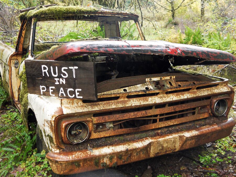 Pickup im Quinault Rain Forest