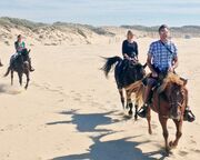 allgemein/diverses/canusa-insidertipps/usa/kalifornien-pismo-beach-gruppe-reiten.cr2448x1071-0x1239 allgemein/diverses/canusa-insidertipps/usa/kalifornien-pismo-beach-gruppe-reiten.cr2448x1071-0x1239