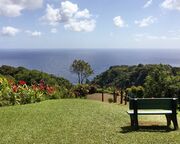 allgemein/diverses/canusa-insidertipps/usa/michelle-lentfer-hawaii/maui-garden-of-eden-view-atlantik.cr3589x2393-0x0 allgemein/diverses/canusa-insidertipps/usa/michelle-lentfer-hawaii/maui-garden-of-eden-view-atlantik.cr3589x2393-0x0