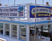 allgemein/diverses/canusa-insidertipps/usa/mississippi-biloxi-shrimping-trip.cr3456x1513-0x504 allgemein/diverses/canusa-insidertipps/usa/mississippi-biloxi-shrimping-trip.cr3456x1513-0x504