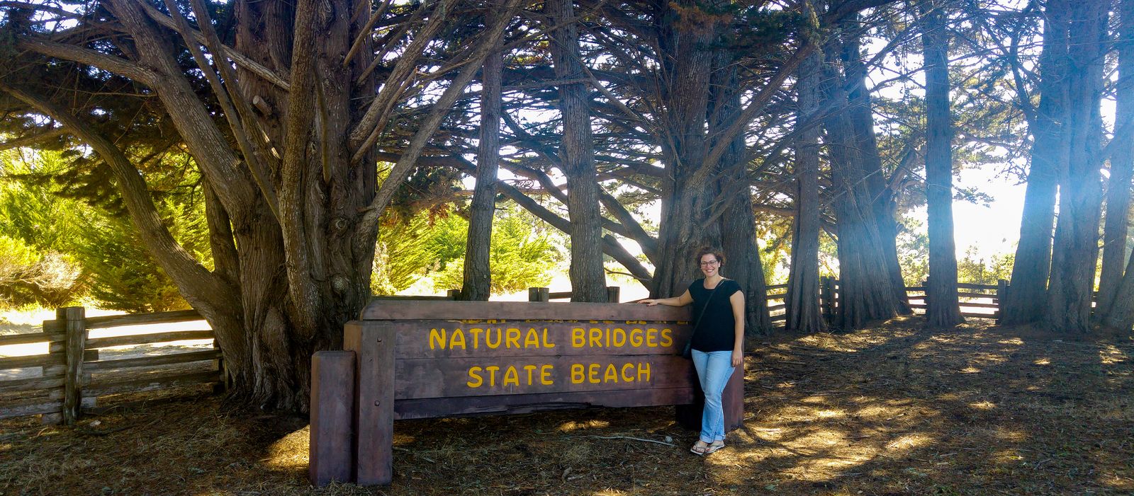 Monika beim Natural Bridges State Beach