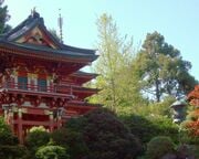 allgemein/diverses/canusa-insidertipps/usa/sanfrancisco_japanischer-garten-golden-gate-park3.cr1000x438-0x86 allgemein/diverses/canusa-insidertipps/usa/sanfrancisco_japanischer-garten-golden-gate-park3.cr1000x438-0x86