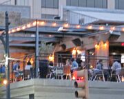 allgemein/diverses/canusa-insidertipps/usa/texas-austin-iron-cactus.cr3264x1429-0x0 allgemein/diverses/canusa-insidertipps/usa/texas-austin-iron-cactus.cr3264x1429-0x0