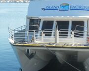 allgemein/diverses/canusa-insidertipps/usa/ventura-island-packers-whalewatching.cr1024x448-0x266 allgemein/diverses/canusa-insidertipps/usa/ventura-island-packers-whalewatching.cr1024x448-0x266