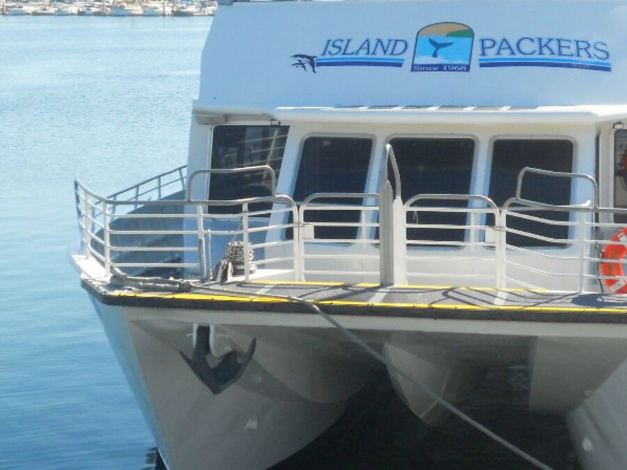 Island Packers Whalewatching Ventura