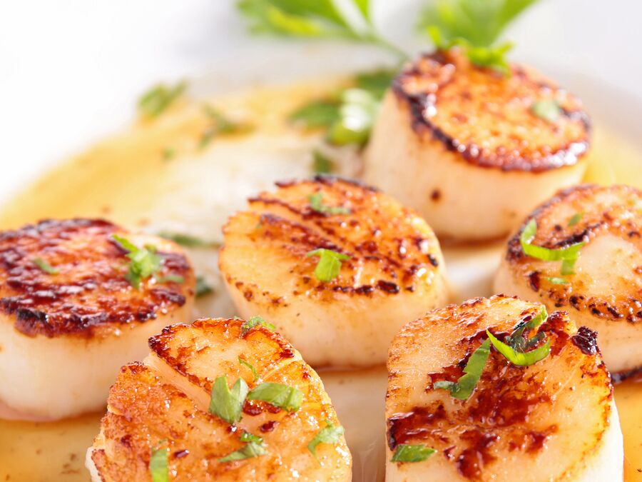 Ein Gericht mit Jakobsmuscheln