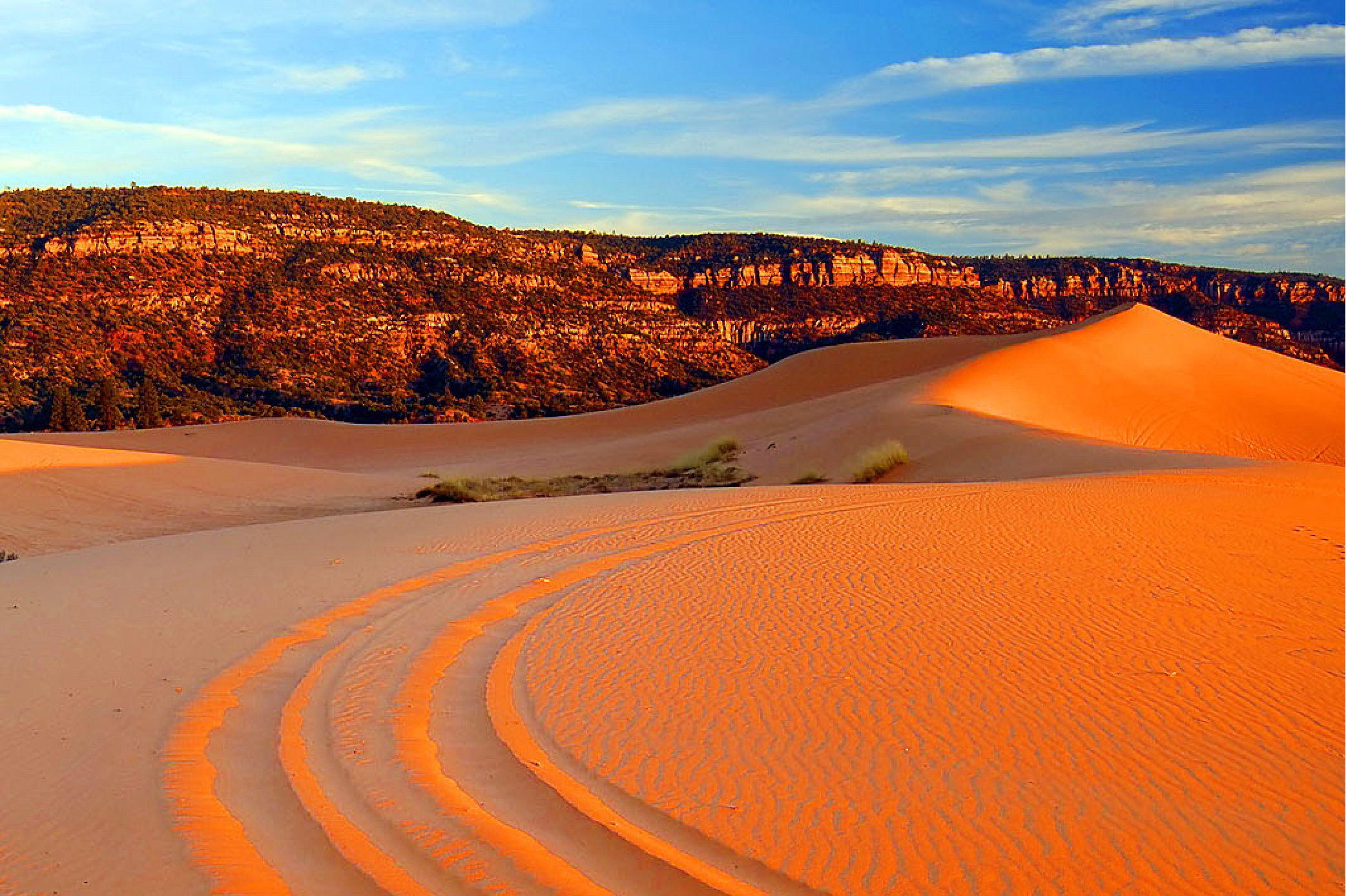 Coral Pink Sand Dunes State Park in Kanab