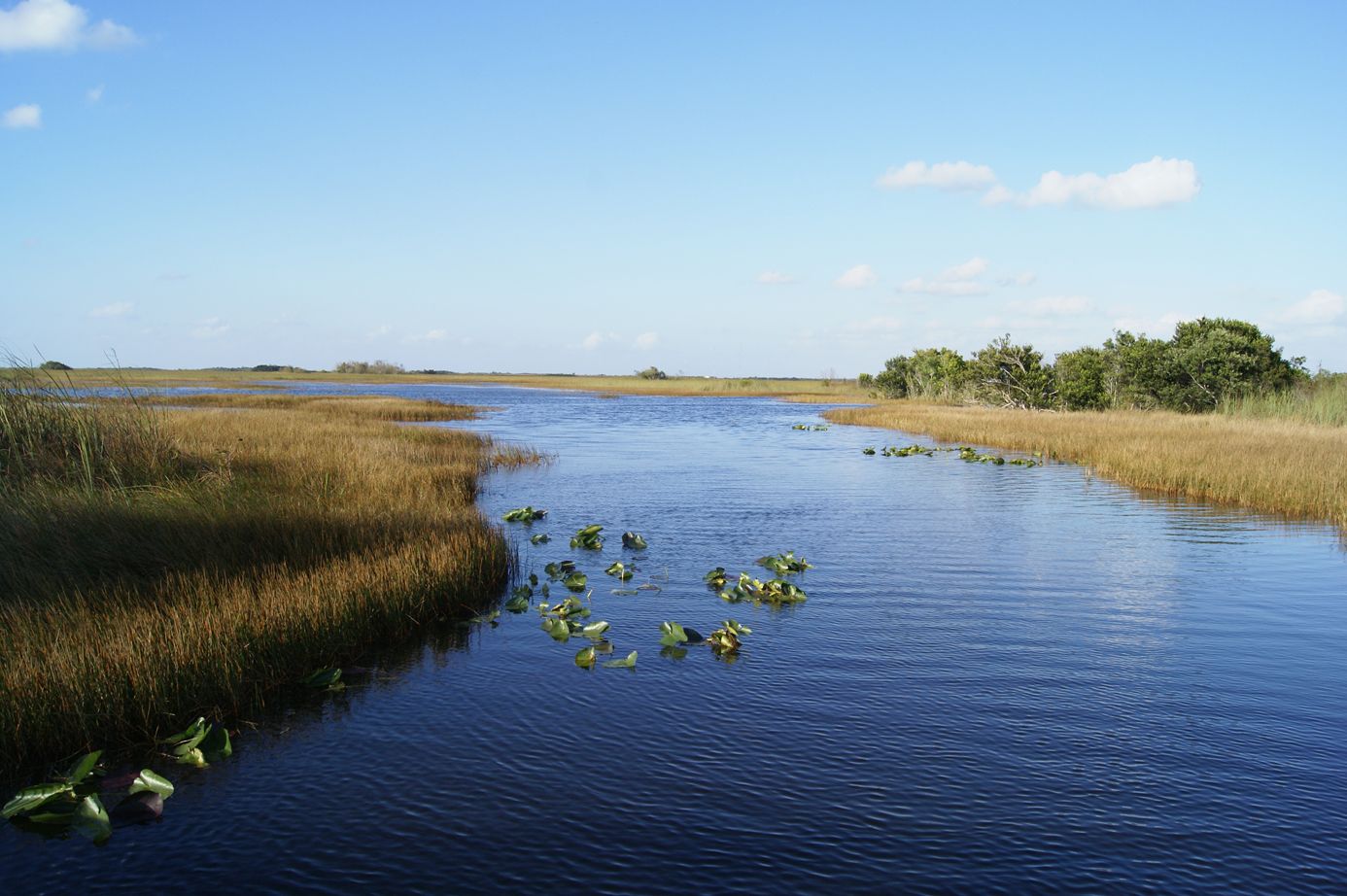 allgemein/homepage-elemente/backgroundimage/backgroundimage-florida-everglades.cr1386x922-0x0