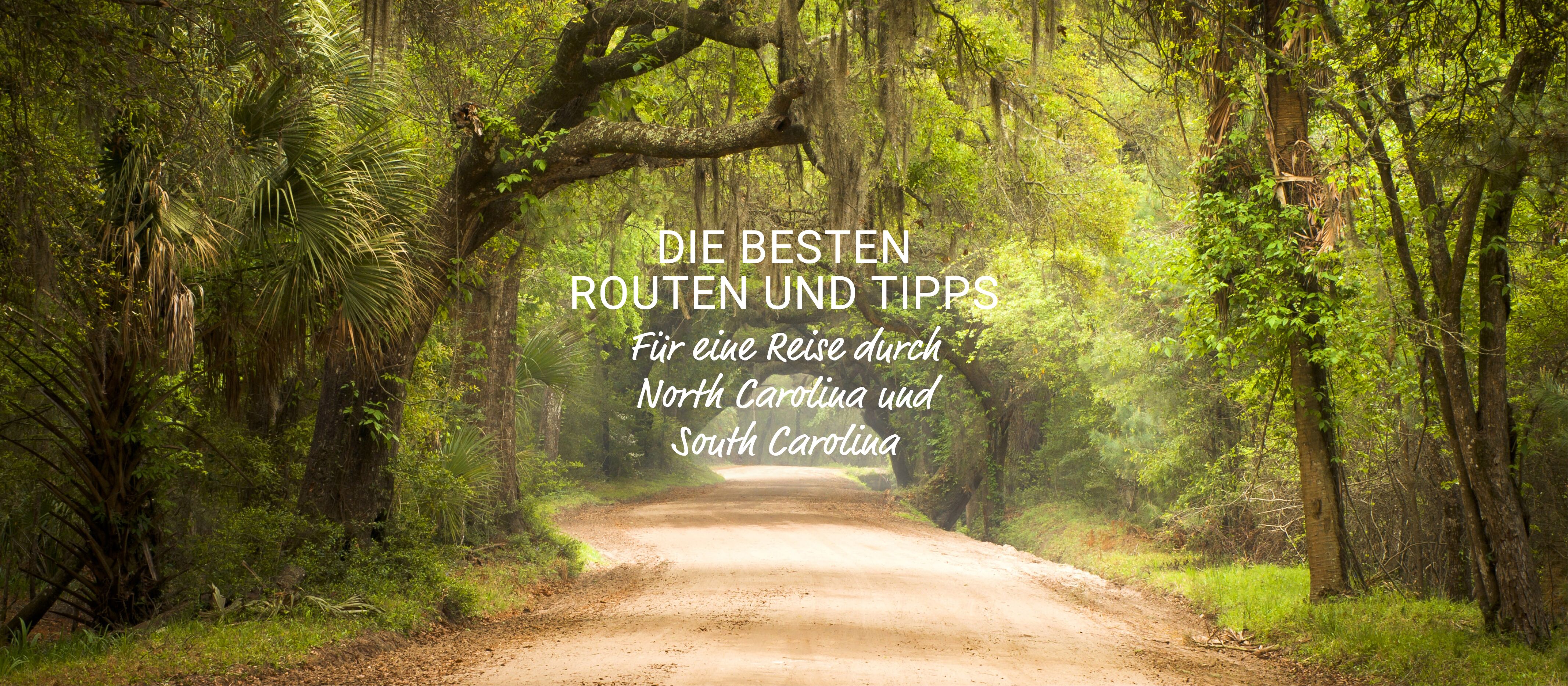 allgemein/homepage-elemente/banner/17banner-north-south-carolina2 allgemein/homepage-elemente/banner/17banner-north-south-carolina2