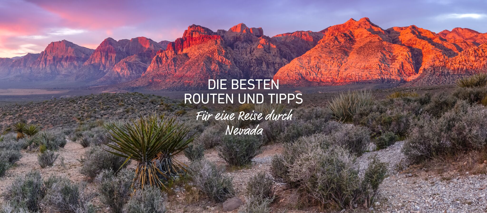 Banner für die Nevada Scenic Routes