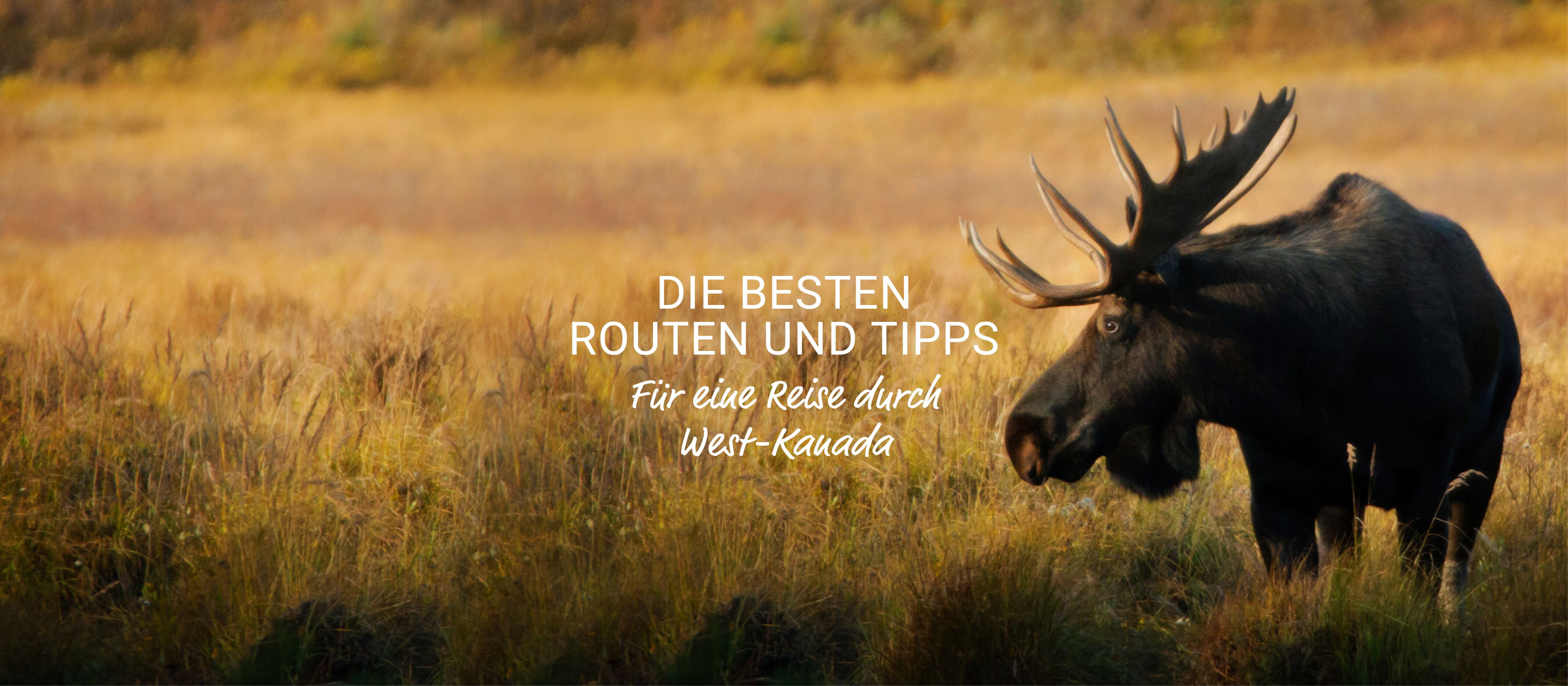 allgemein/homepage-elemente/banner/17banner-westkanada2