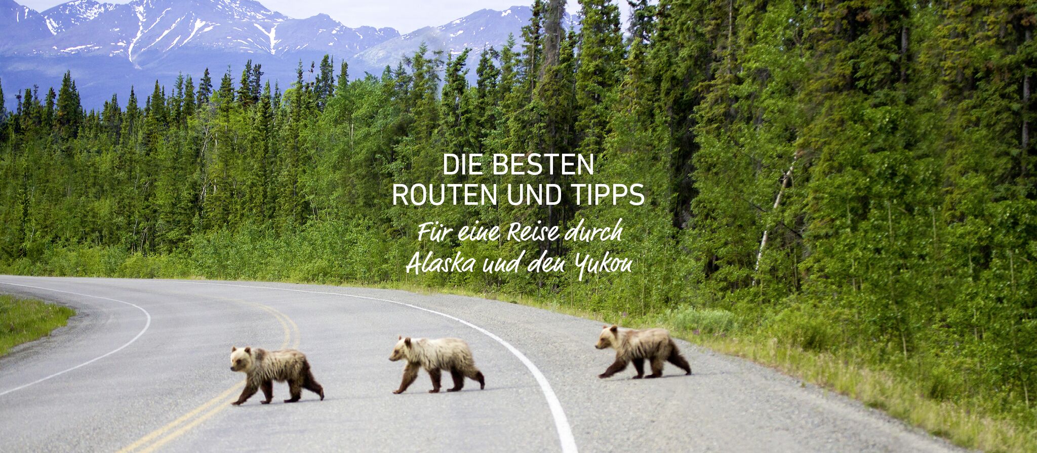 allgemein/homepage-elemente/banner/19banner-scenic-routes-alaska_yukon2 allgemein/homepage-elemente/banner/19banner-scenic-routes-alaska_yukon2