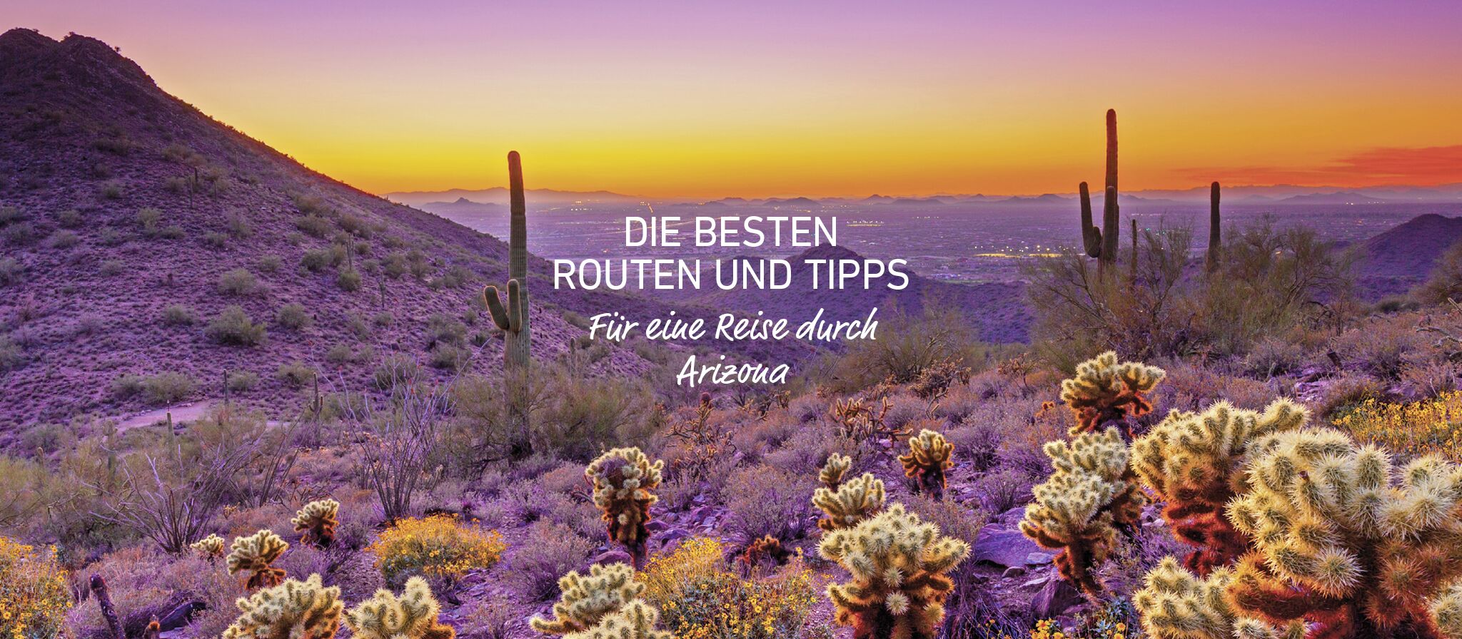 allgemein/homepage-elemente/banner/19banner-scenic-routes-arizona2 allgemein/homepage-elemente/banner/19banner-scenic-routes-arizona2