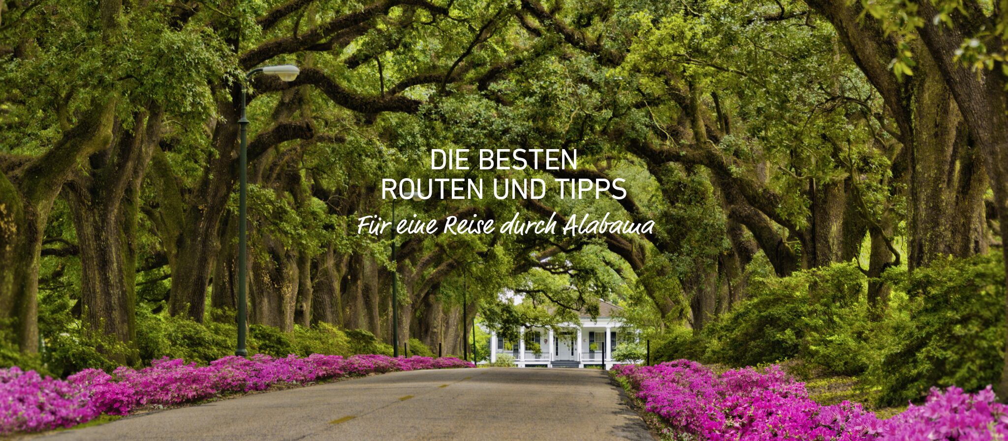 Banner einer Scenic Route durch Alabama Banner einer Scenic Route durch Alabama