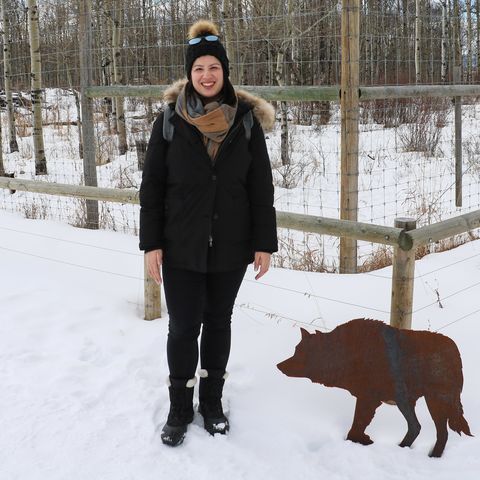 Mitarbeiterin Sarina Keil in der Yamnuska Wolfdog Sanctuary in Alberta