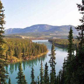 Yukon River bei Whitehorse