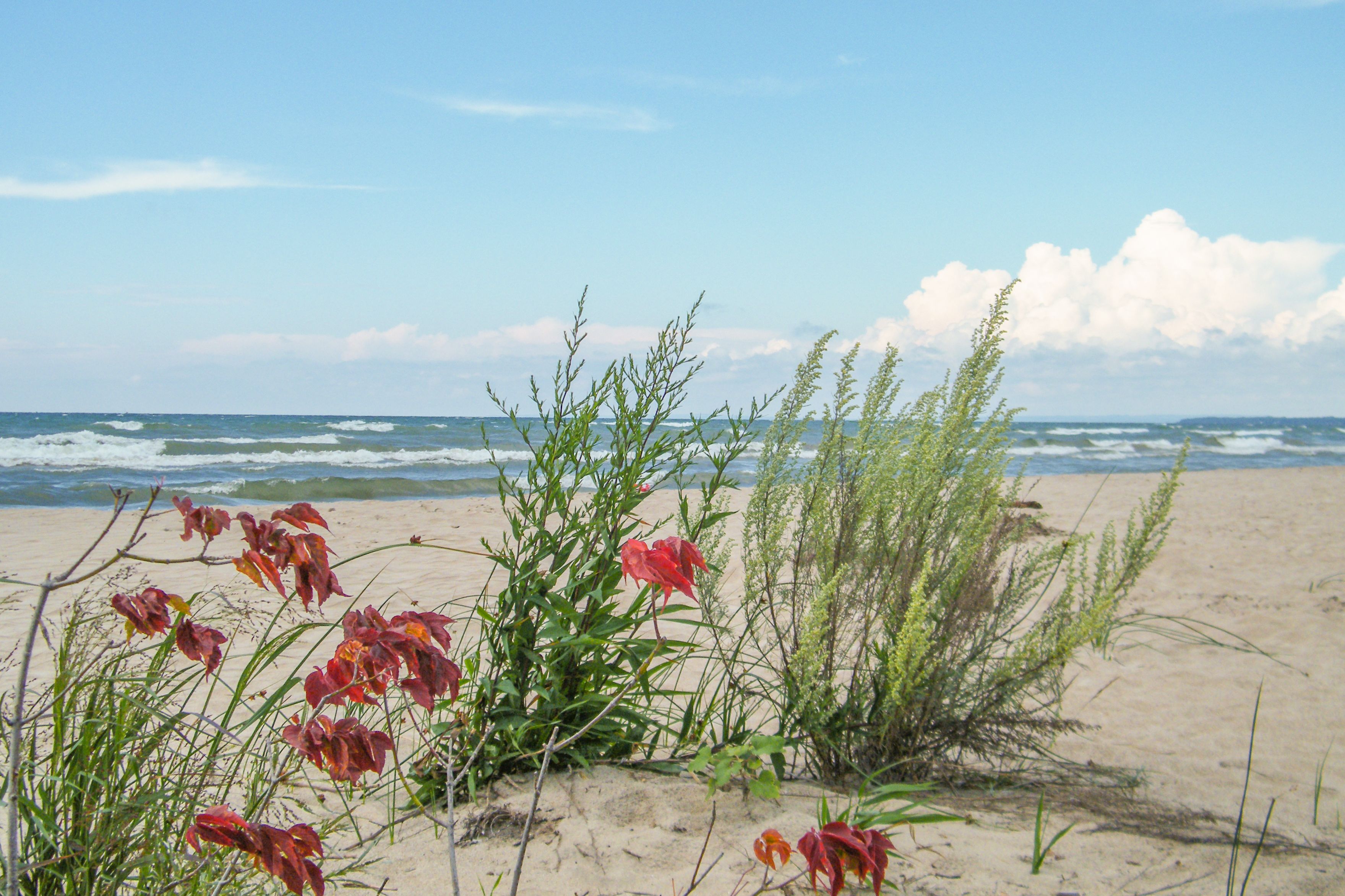 Der Wasaga Beach in Ontario