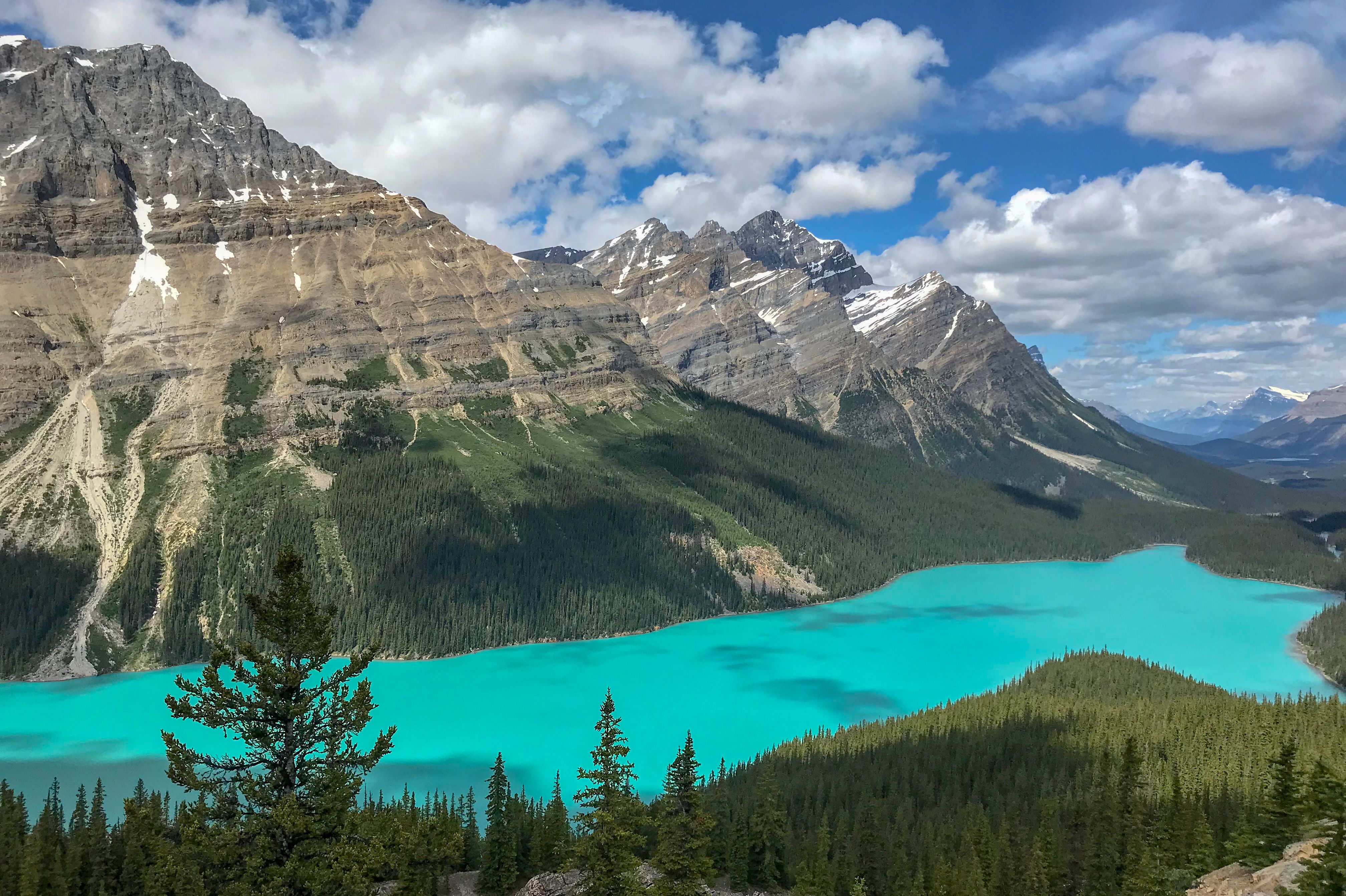 Der Peyto Lake in Alberta, Kanada