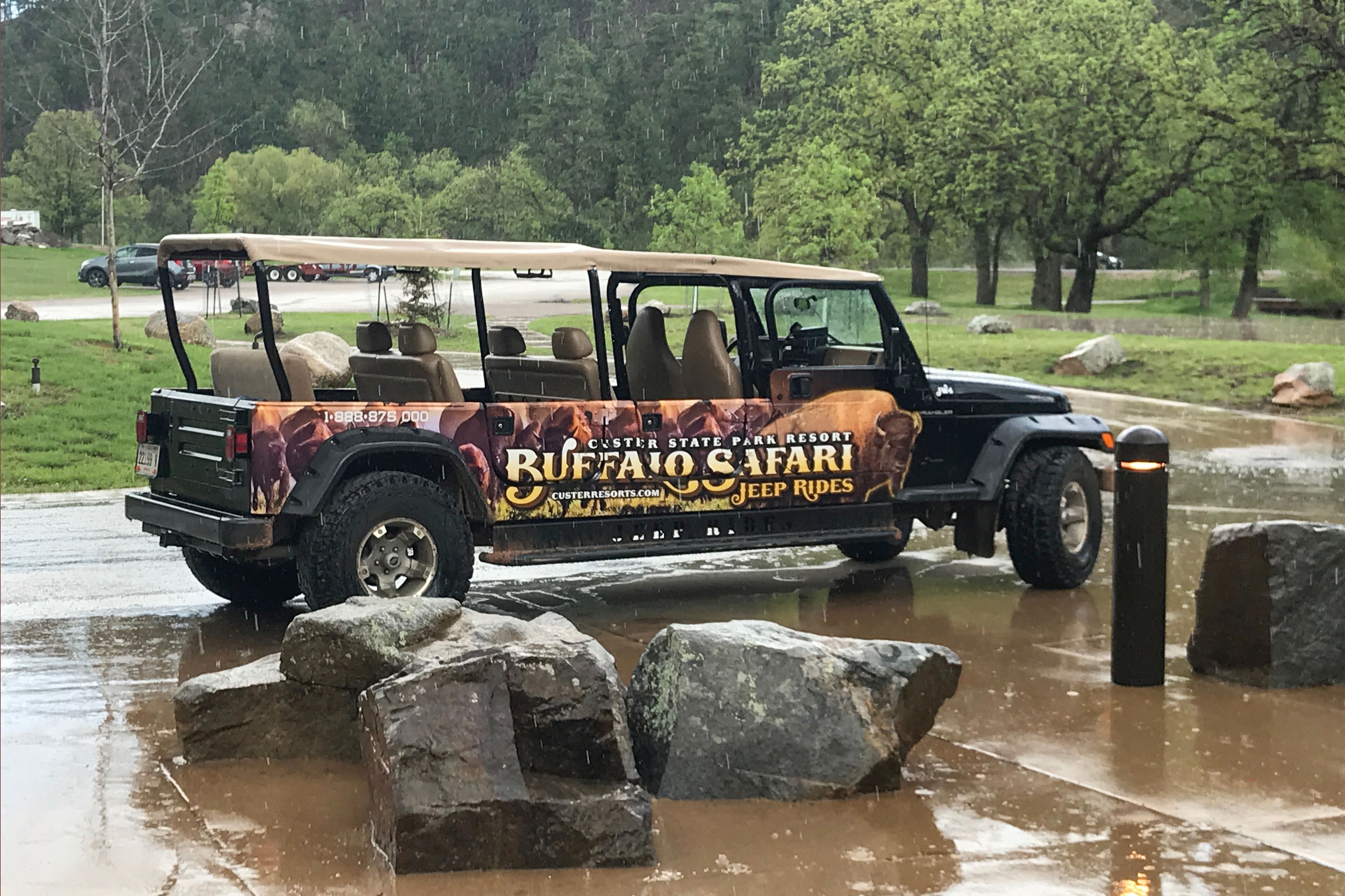 Das Vehicle der Buffalo Safari im Black Hills National Forest in South Dakota