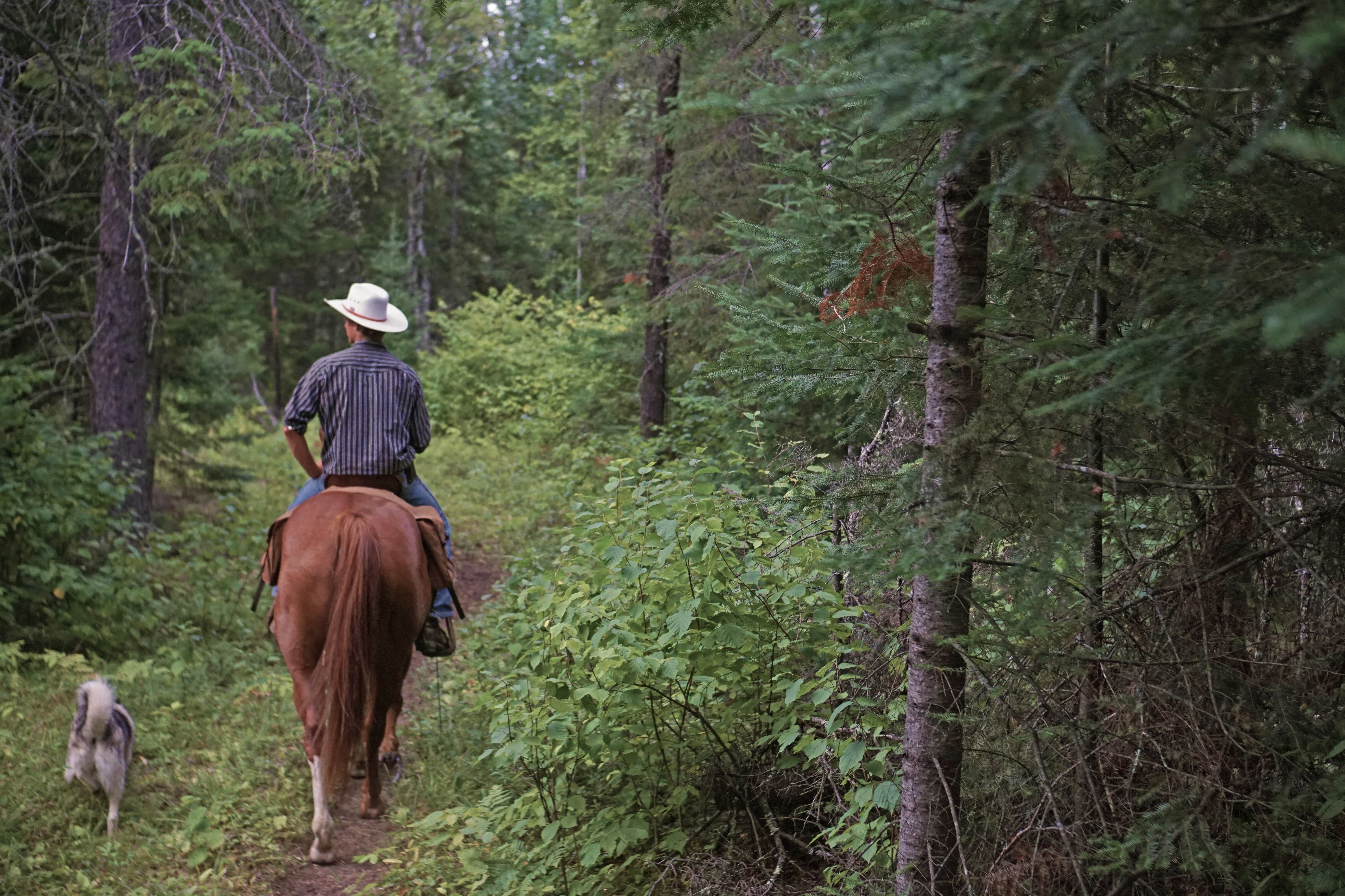 Ein Cowboy auf einer gefÃ¼hrten Tour der Falcon Beach Ranch in Manitoba