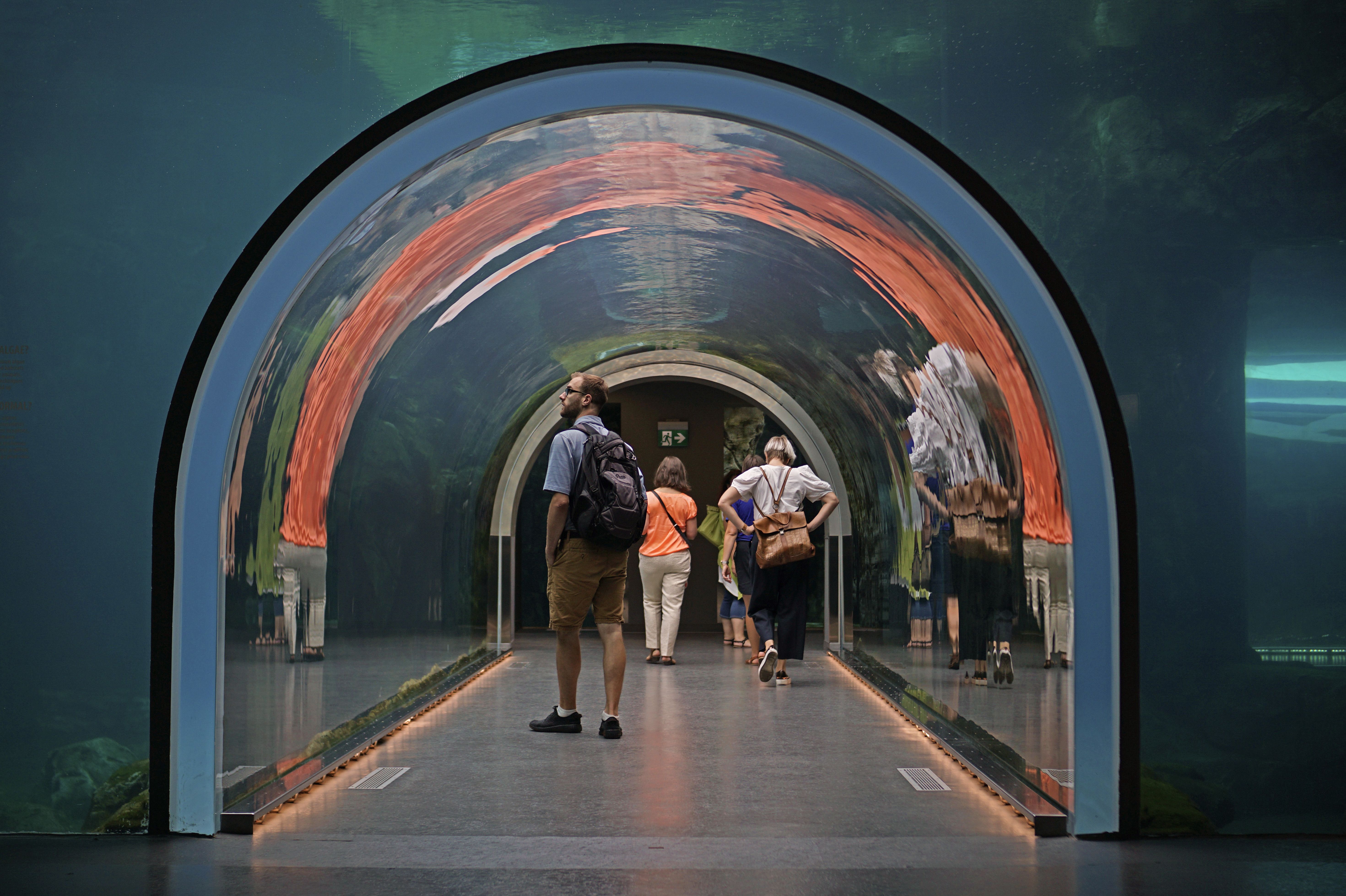 Den EisbÃ¤ren ganz nah - ein glÃ¤serner Tunnel im Assiniboine Park Zoo in Winnipeg lÃ¤dt zur EisbÃ¤renbeobachtung ein