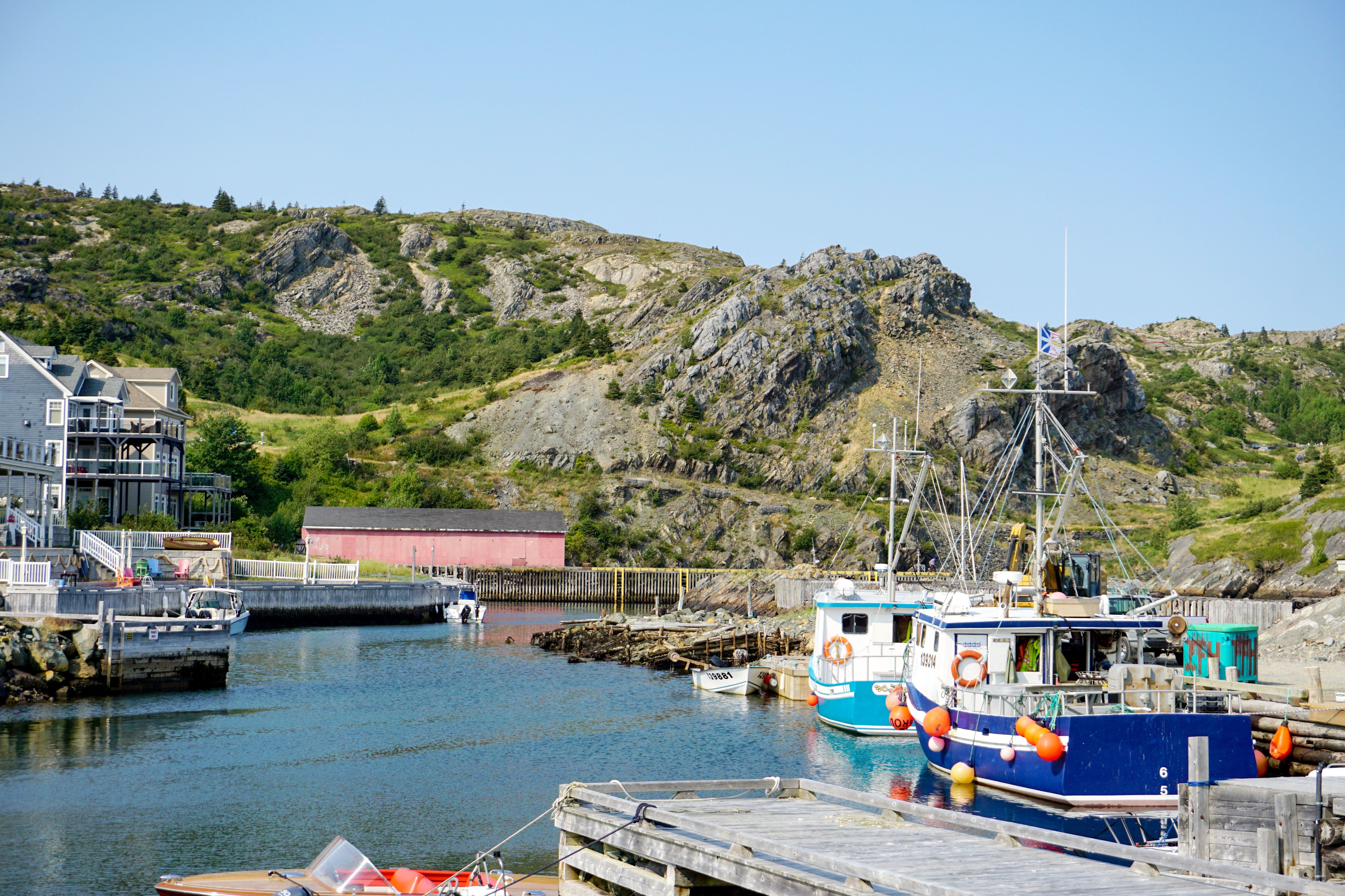 Der kleine Hafen der Fischergemeinde Brigus in Neufundland