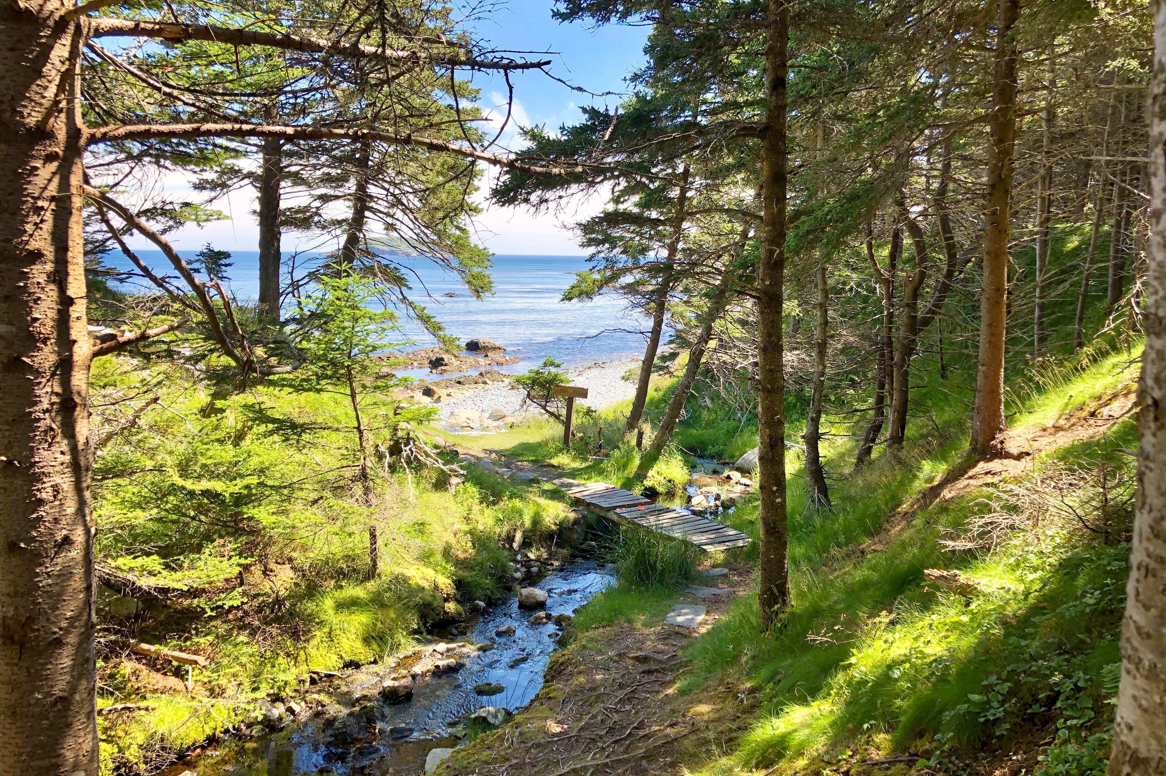 Blick auf die KÃ¼ste von Witless Bay in Neufundland