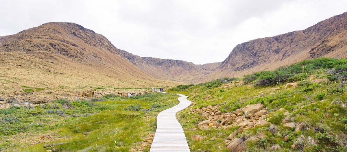 allgemein/storytelling/18-odette-schiller-atlantik-kanada/neufundland/tablelands-01.cr6000x2630-0x912