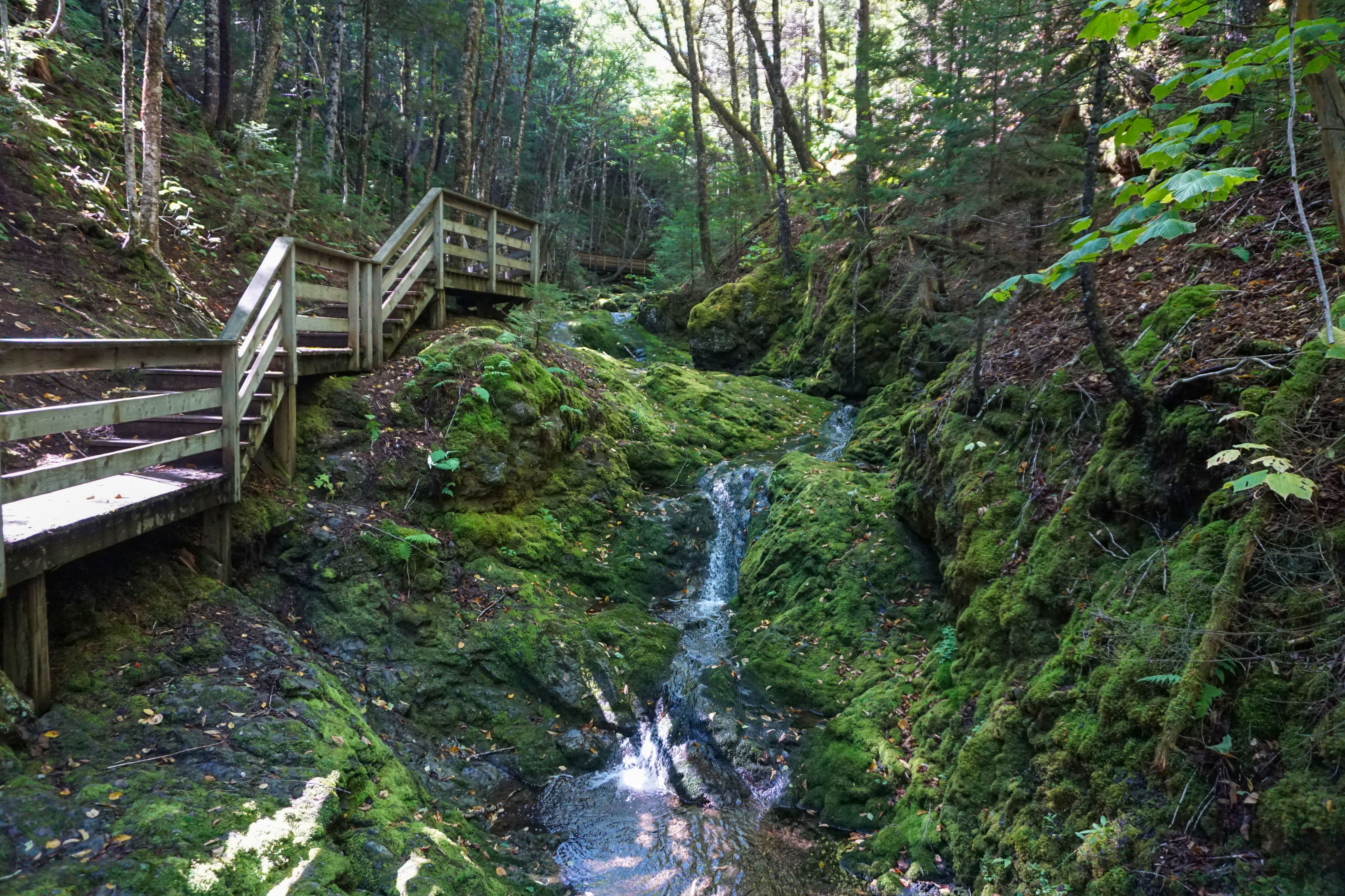 Eindrücke des Fundy-Nationalparks in der kanadischen Provinz New Brunswick