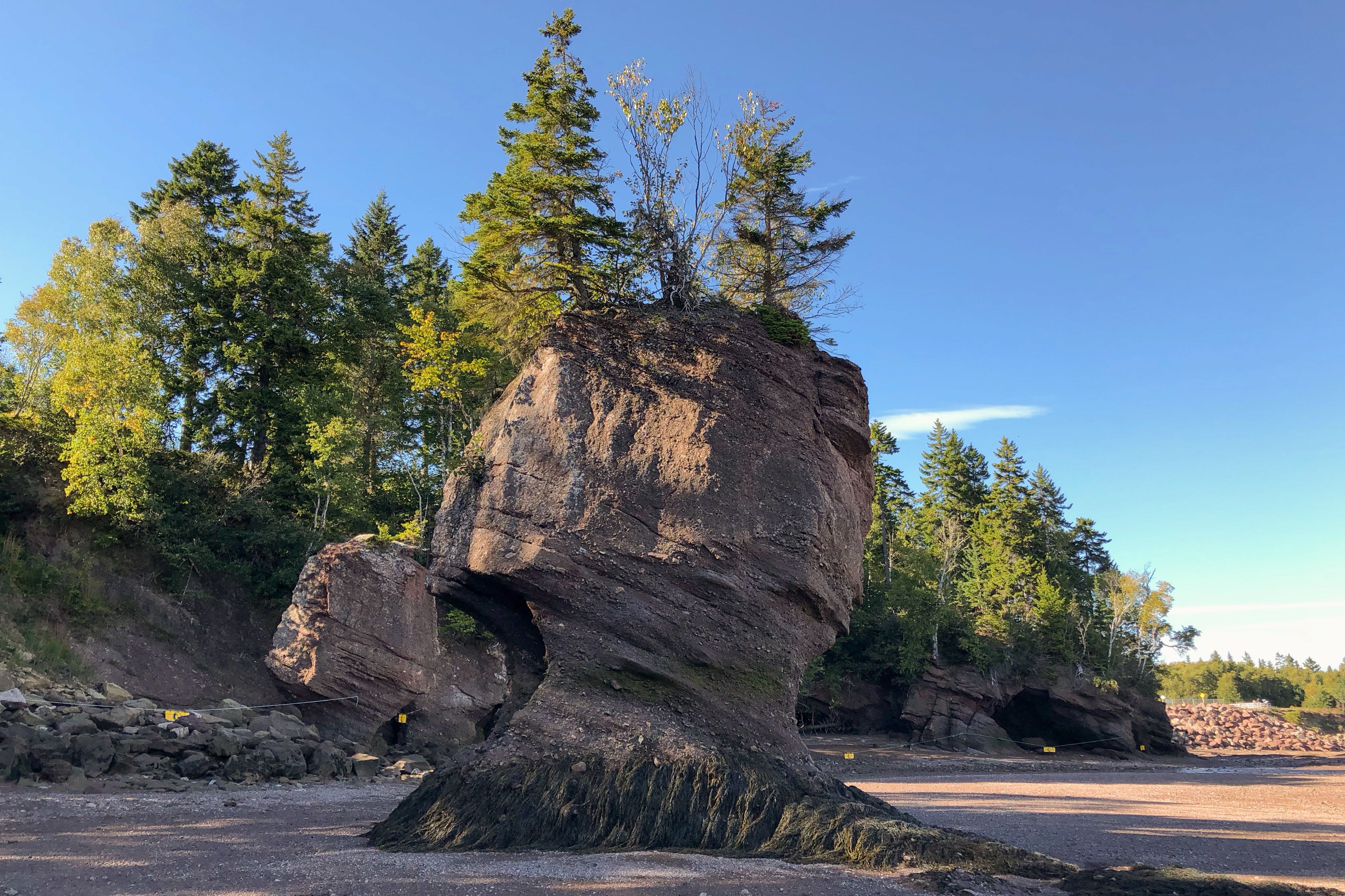 Die Hopewell Rocks an der Bay of Fundy im kanadischen New Brunswick