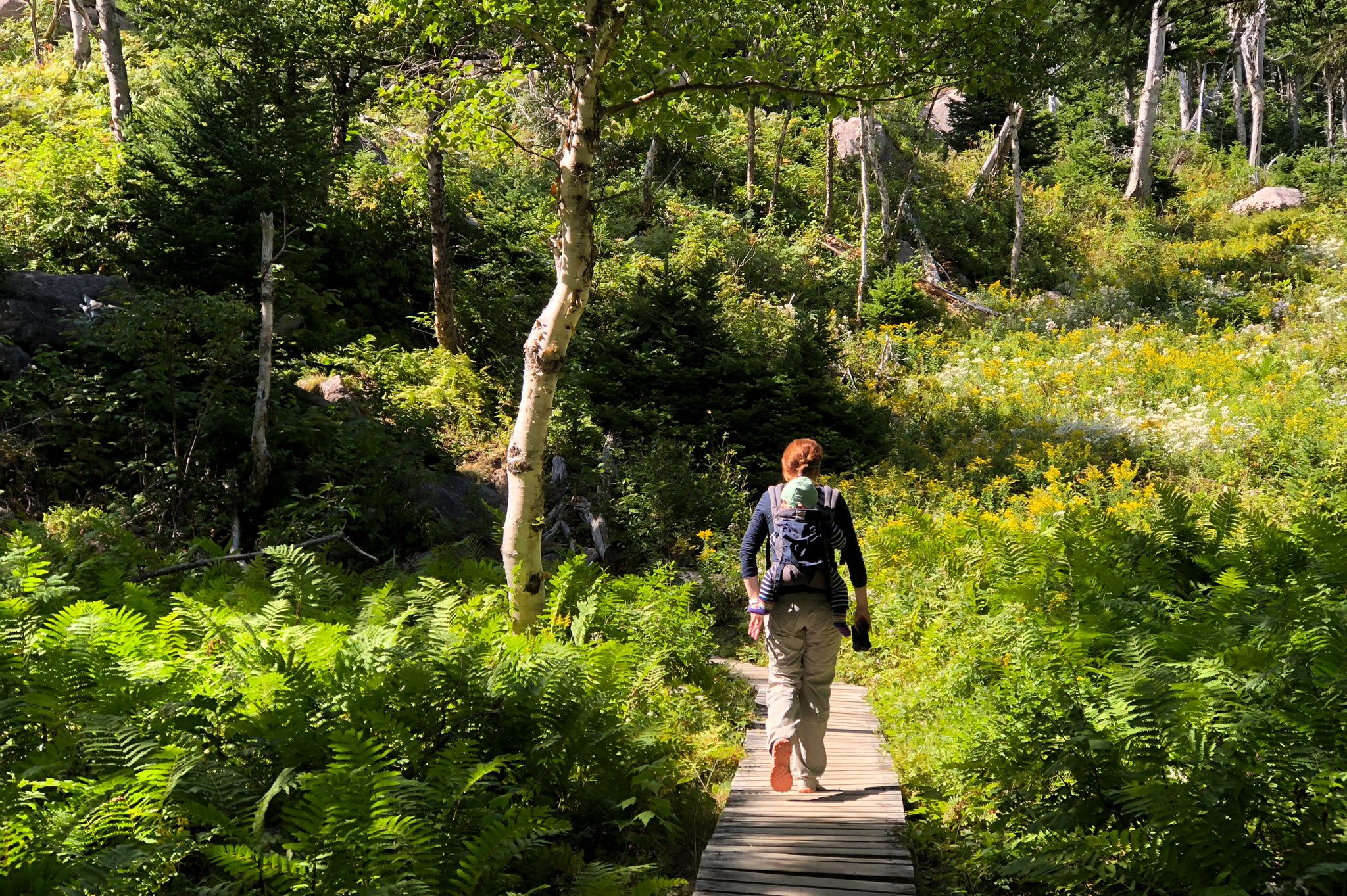 Auf Wandertour in den Cape Breton Highlands