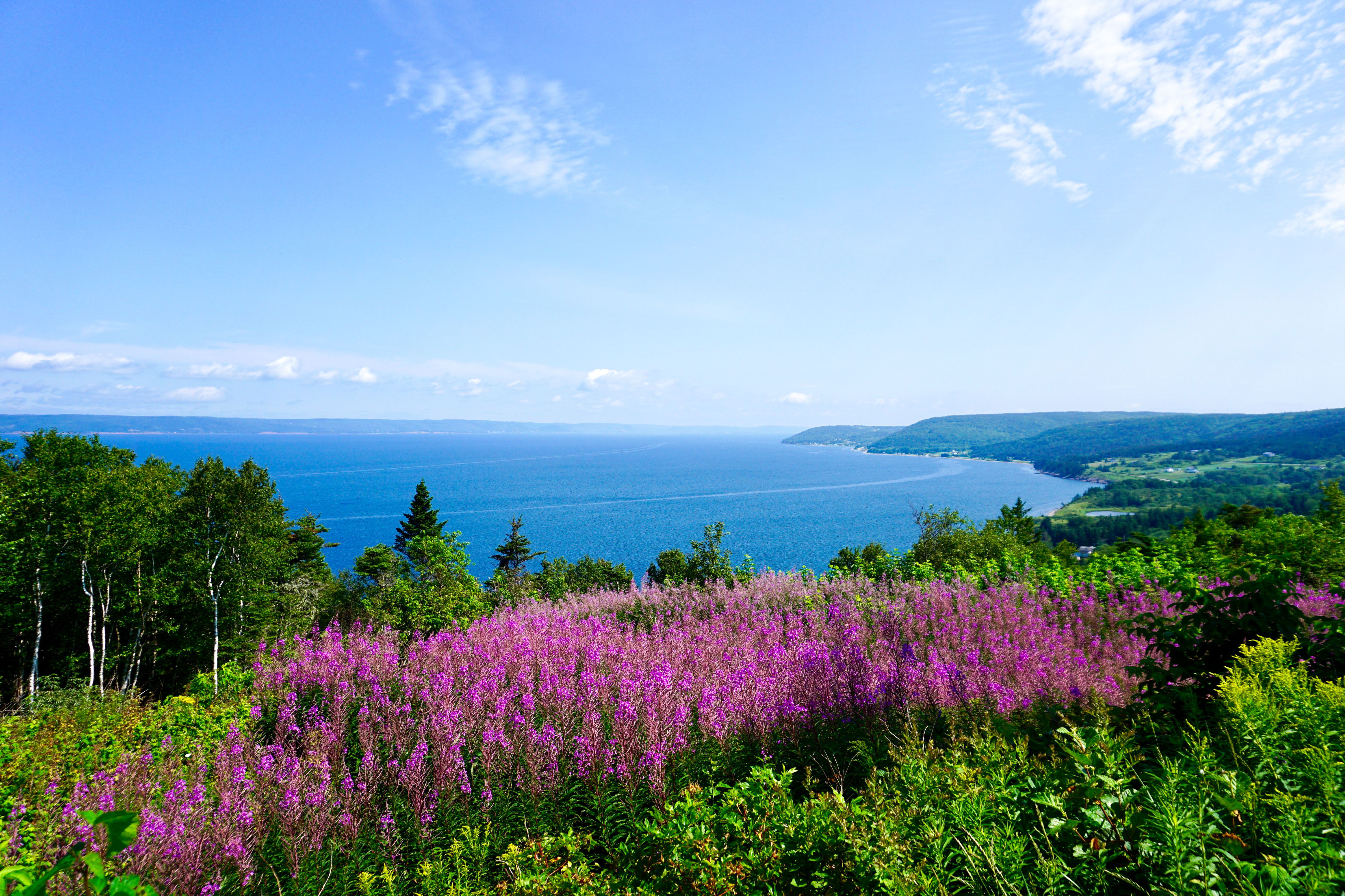 Die Natur in den Cape Breton Highlands