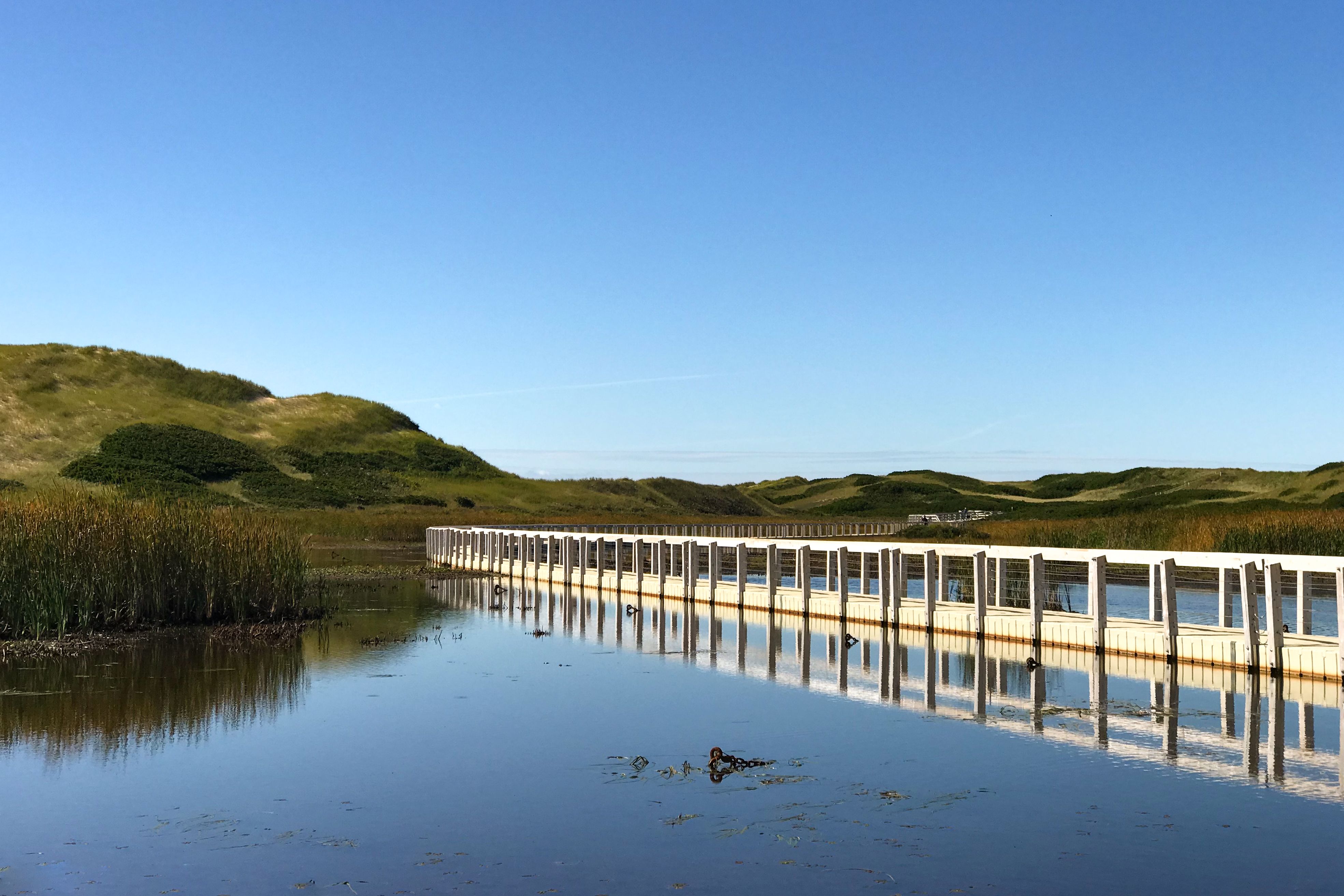 Ein Teil des Greenwich Dunes Trail im Edward Island National Park